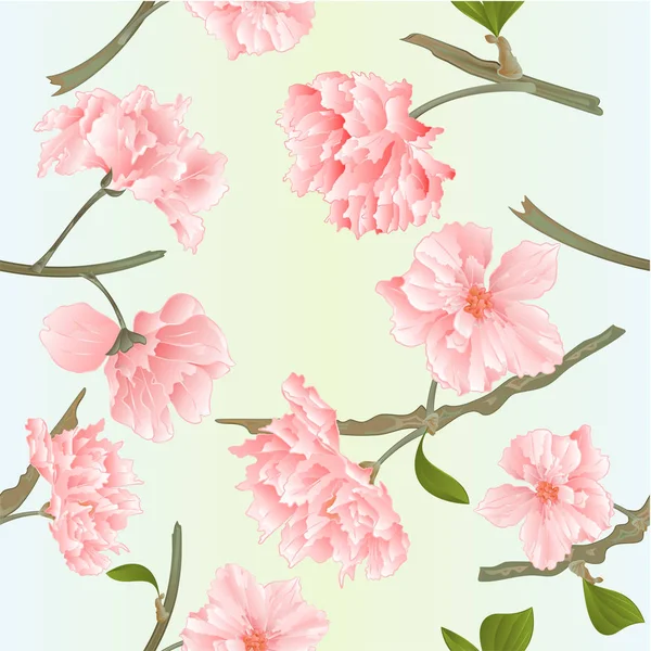 Textura Sem Costura Flores Sakura Tvigs Natural Primavera Fundo Vintage — Vetor de Stock