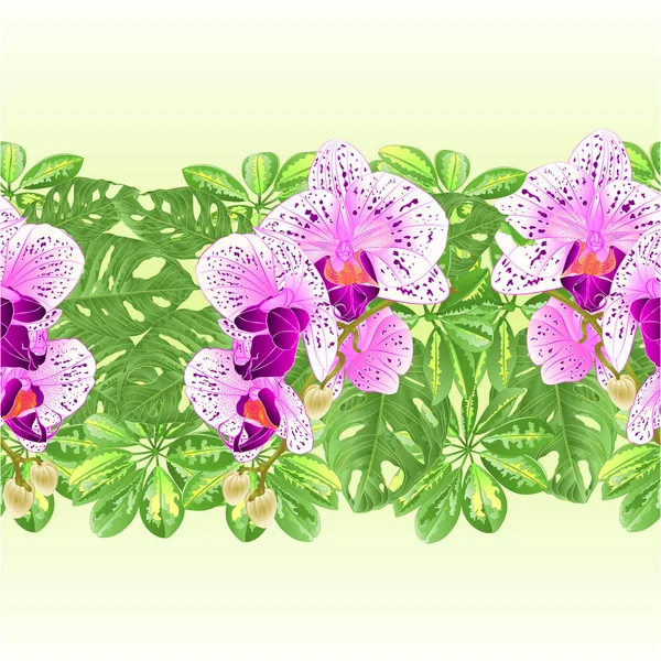 Τροπικό Σύνορα Απρόσκοπτη Υπόβαθρο Μπουκέτο Τροπικά Λουλούδια Floral Ρύθμιση Όμορφη — Διανυσματικό Αρχείο