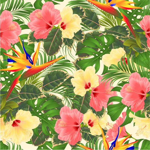热带花卉无缝纹理花束花卉安排与美丽的粉红色和黄色芙蓉和斯特雷利茨棕榈 菲洛登龙和菲克斯复古向量可编辑的手绘 — 图库矢量图片