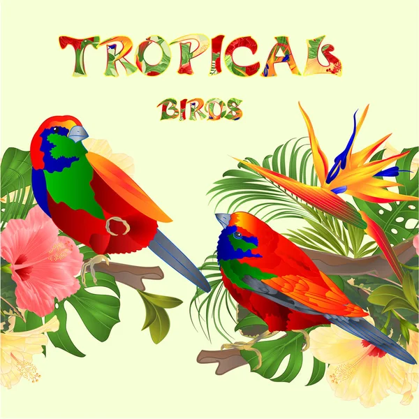 Seamless border  tropical birds Euplectes and tropical flowers  pink and yellow hibiscus and Strelitzia palm,philodendron and ficus vintage vector illustration  editable hand draw