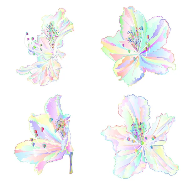 Mnohobarevný Keř Rododendronů Bílém Pozadí Sada Tří Význačkových Vektorových Kreslených — Stockový vektor