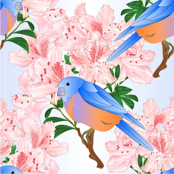 Нежная Текстура Маленькая Птица Дрозд Синей Птицы Светло Розовый Рододендрон — стоковый вектор