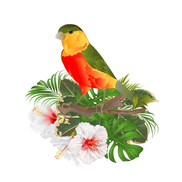 Tropical Bird Cute Small Funny Bird White Hibiscus Watercolor Style — стоковый вектор