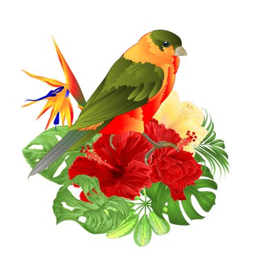 Tropikal kuş sevimli küçük komik kuş ve kırmızı ebegümeci ve Strelitzia reginae monstera palmiye suluboya tarzı beyaz bir arka plan vintage vektör illüstrasyon editable el çizmek