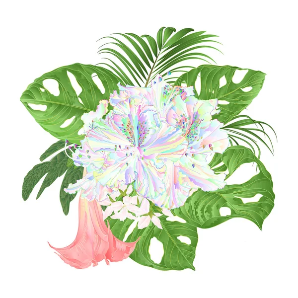 Ramo Con Flores Tropicales Arreglo Floral Con Hermoso Rododendro Multicolor — Vector de stock