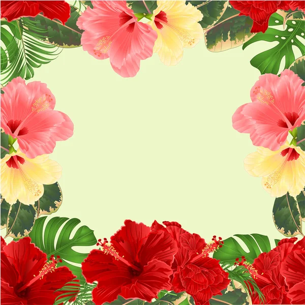 Κορνίζα Μπουκέτο Τροπικά Λουλούδια Floral Διάταξη Όμορφο Ιβίσκο Παλάμη Φιλοντεντρο — Διανυσματικό Αρχείο