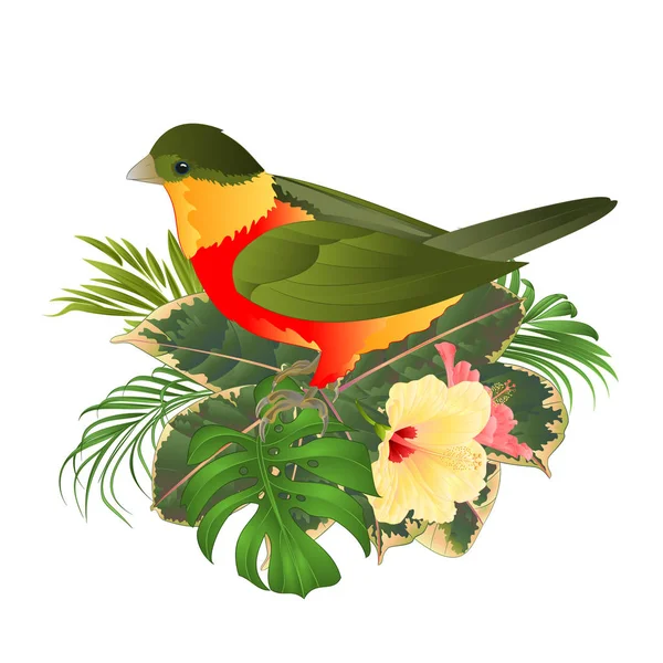 Pájaro Tropical Lindo Pequeño Pájaro Divertido Amarillo Rosa Hibisco Acuarela — Archivo Imágenes Vectoriales