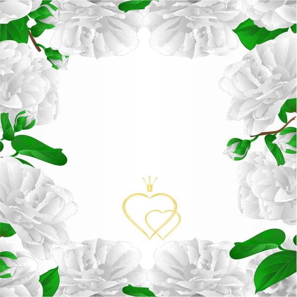 Bordure Fleurs Blanches Camellia Japonica Avec Bourgeons Carte Vœux Vintage — Image vectorielle