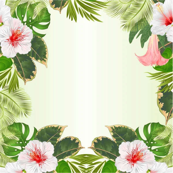 Marco Flores Tropicales Arreglo Floral Con Hibisco Blanco Palma Brugmansia — Vector de stock