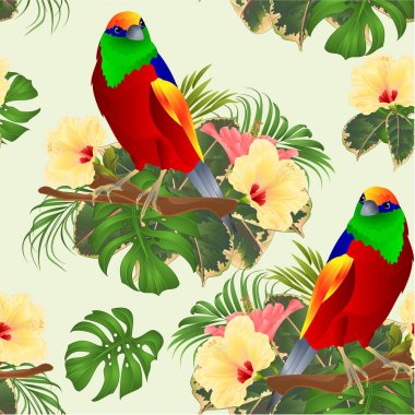 Tropik çiçekler ebegümeci palmiye, philodendron suluboya arka plan vintage vektör illüstrasyon editable el çizmek ile bir dal üzerinde Dikişsiz doku tropikal kuş