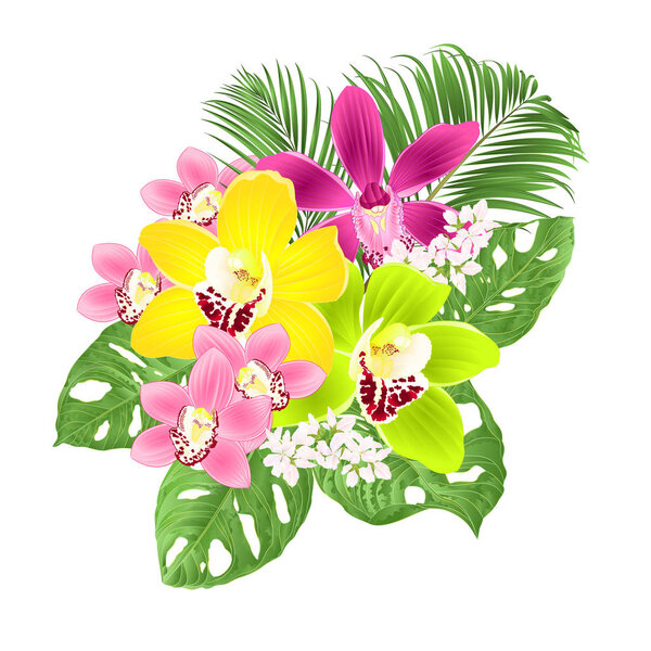 Tropical Orchids Cymbidium green and purple flowers and Monstera  foliage  on a white background vintage vector illustration editable hand draw