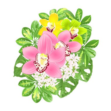 Tropikal çiçekler çiçek aranjman güzel Orkide Cymbidium pembe sarı schefflera ve Monstera vintage vektör illüstrasyon editable el çizmek ile buket 