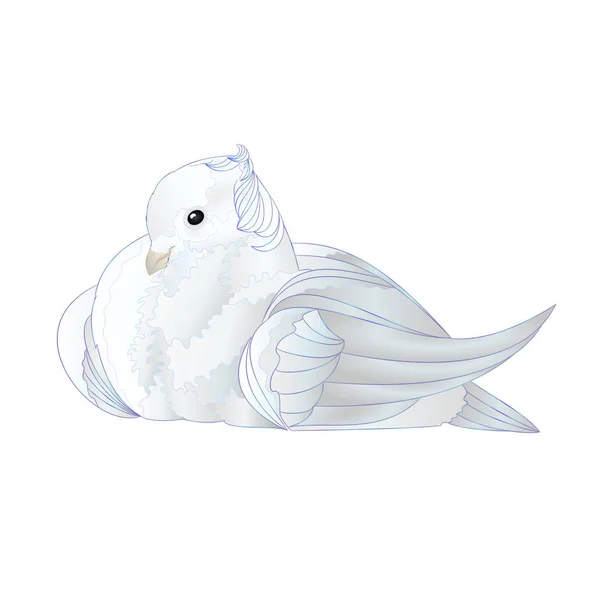 白い背景ヴィンテージベクトルイラスト編集可能な手描きの白い鳩かわいい小鳥 — ストックベクタ