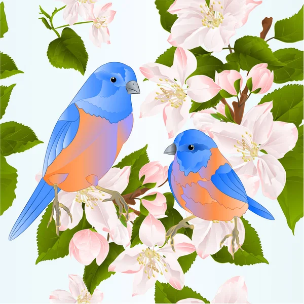 Textura Inconsútil Aves Zorzal Bluebirds Pequeños Pájaros Cantores Una Rama — Vector de stock