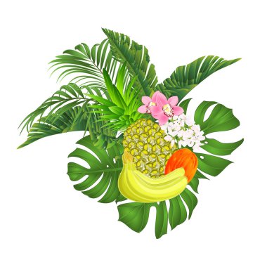 Ananas ve muz tropikal meyve ve orkide Cymbidium muz ficus tropikal yaprakları ile, palmiye, philodendron beyaz arka plan vektör illüstrasyon editable el çizmek