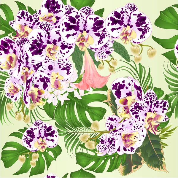 シームレスなテクスチャ熱帯の花の花の配置 美しい斑点蘭 手のひら フィロデンドロンとブルグマンシアヴィンテージベクトルイラスト編集可能な手描き — ストックベクタ