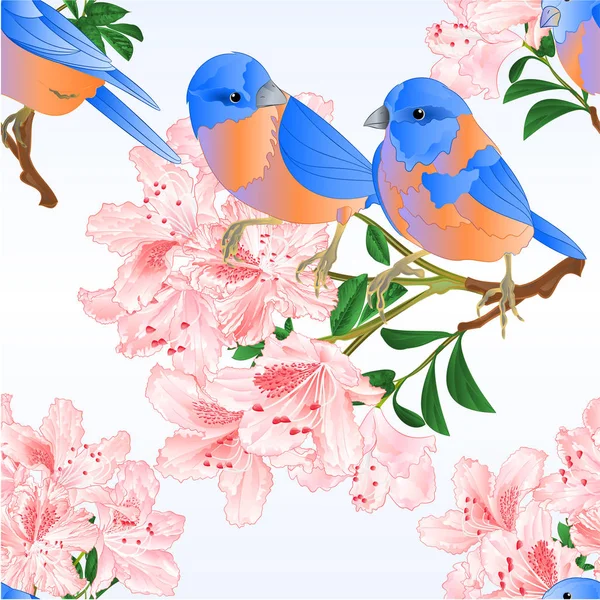 Бесшовная Текстура Маленькая Птичка Синяя Птица Дрозд Светло Розовый Рододендрон — стоковый вектор