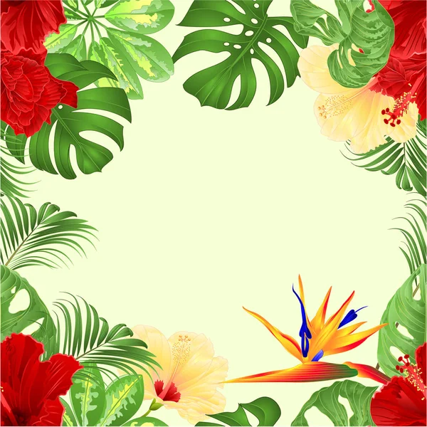 Bouquet Bordure Sans Couture Avec Fleurs Tropicales Arrangement Floral Avec — Image vectorielle