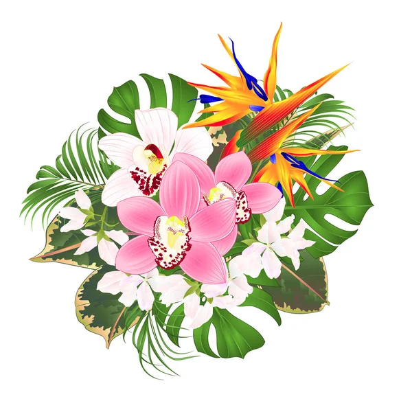 花束与热带花卉花卉安排与美丽的斯特雷利齐亚和白色和粉红色的兰花Cymbidium棕榈 菲洛登龙和菲库斯复古矢量插图可编辑的手绘 — 图库矢量图片