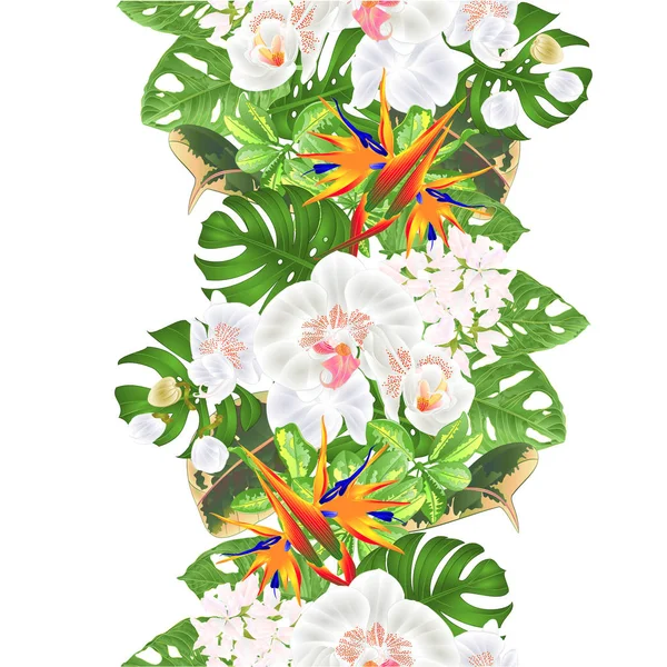 Tropical Fondo Frontera Tropical Flores Arreglo Floral Con Strelitzia Blanco — Vector de stock