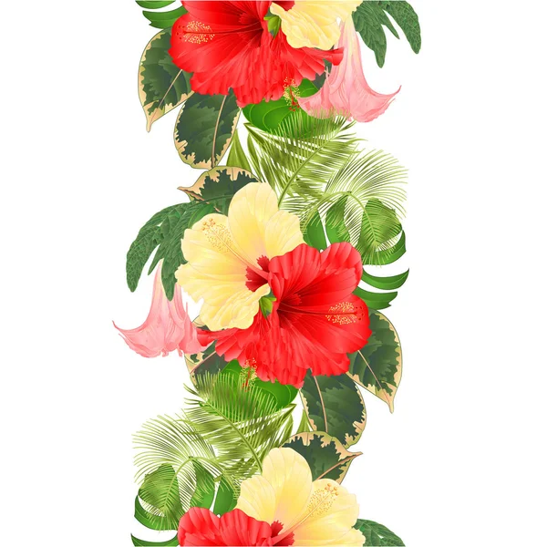 Bordure Sans Couture Fleurs Tropicales Arrangement Floral Avec Hibiscus Rouge — Image vectorielle