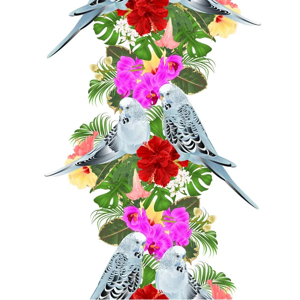 Bordure Tropicale Fond Sans Couture Budgerigars Animal Domestique Perruche Bleue — Image vectorielle