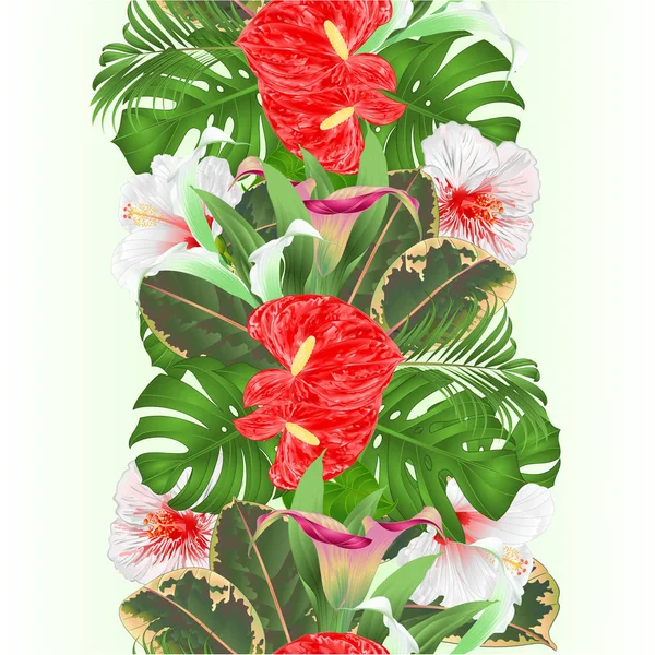 Tropical Border Seamless Background Floral Arrangement Tropical Flowers Lilies Cala — Vetor de Stock