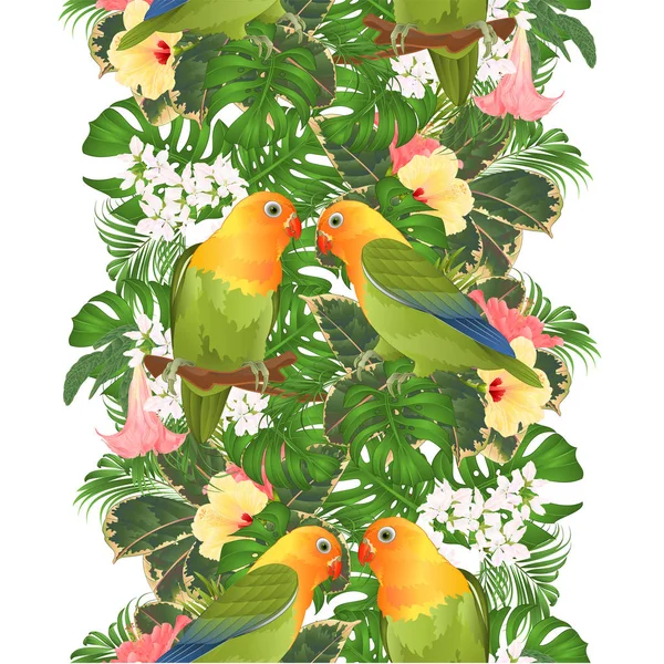 边界无缝背景鹦鹉阿加波尼斯爱鸟热带鸟类和布鲁格曼西亚与粉红色和黄色木薯矢量插图可编辑手绘 — 图库矢量图片
