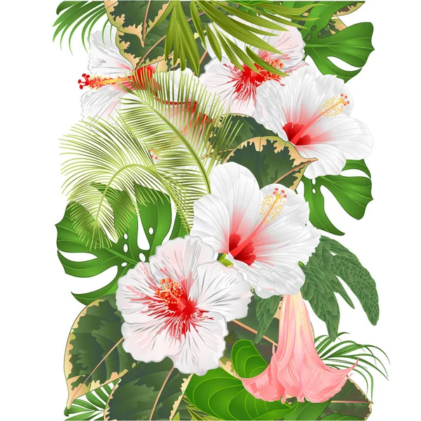 Bezešvé Hraniční Tropické Květy Květinové Aranžmá Bílým Hibiscem Brugmansia Palm — Stockový vektor