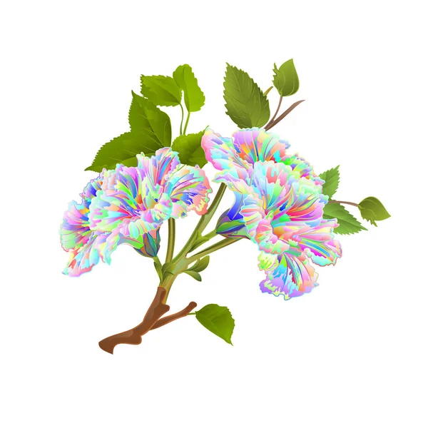 Branch Multi Colorido Hibisco Flores Tropicais Fundo Branco Vintage Vetor —  Vetores de Stock