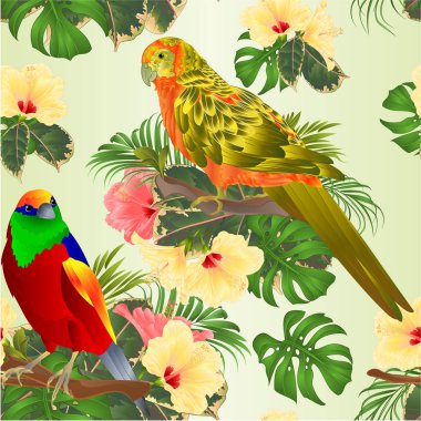 Dikişsiz doku tropikal kuş ve güneş Conure Parrot tropikal çiçekler ebegümeci palmiye, philodendron suluboya arka plan vintage vektör illüstrasyon editable el çizmek ile