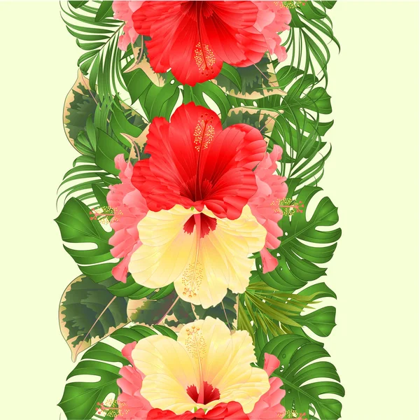 Tropikal Çiçekler Güzel Sarı Pembe Kırmızı Ebegümeci Palmiye Philodendron Ficus — Stok Vektör