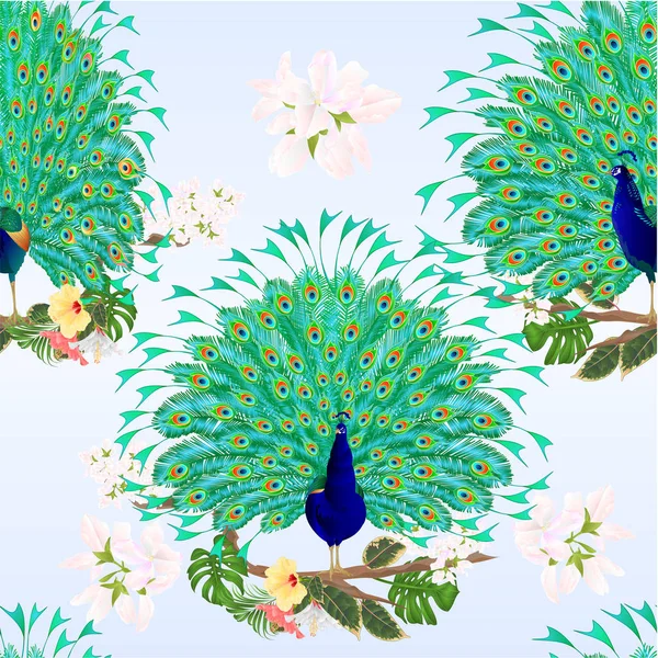 Bezešvá Textura Peacocks Krásy Tropického Ptactva Větvi Ibišek Ficus Philodendronová — Stockový vektor