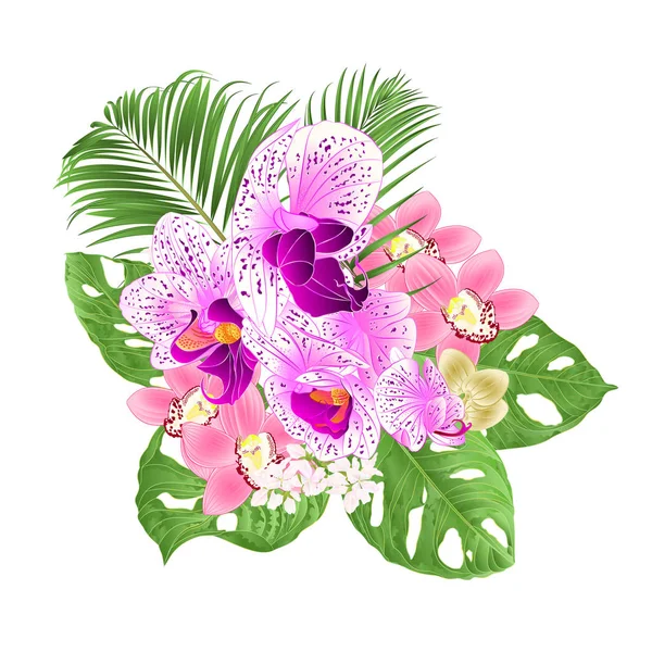 白い背景ヴィンテージベクトルイラスト編集可能な手描きのトロピカルオーキドキシンビジウムピンクとファラエノプシスの花とモンスターと手のひら — ストックベクタ