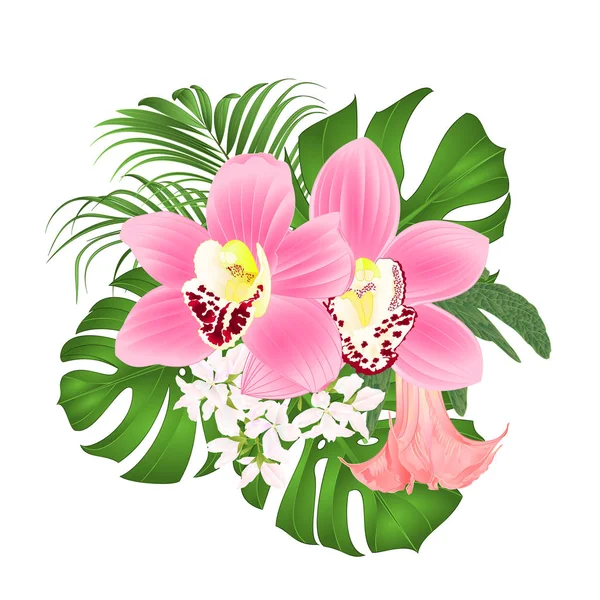 Nez Avec Des Fleurs Tropicales Arrangement Floral Avec Belles Orchidées — Image vectorielle