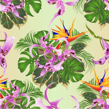 Güzel Orkide Dendrobium ve Strelitzia palmiye, philodendron ve ficus vintage vektör illüstrasyon editable el çizmek ile Dikişsiz doku tropikal çiçekler çiçek aranjmanı 