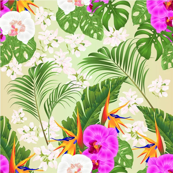 Textura Inconsútil Ramo Con Flores Tropicales Strelitzia Reginae Orquídeas Blancas — Vector de stock