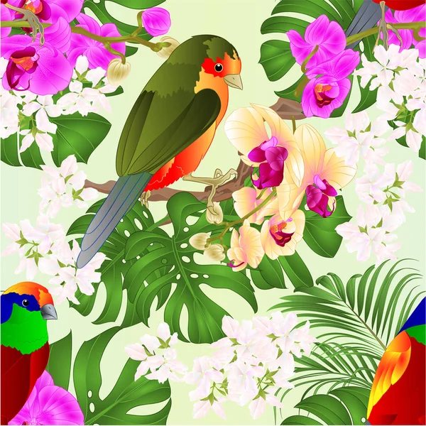 Бесшовная Текстура Тропических Птиц Стоящих Фиолетовых Желтых Орхидеях Фаленопсис Пальмы — стоковый вектор