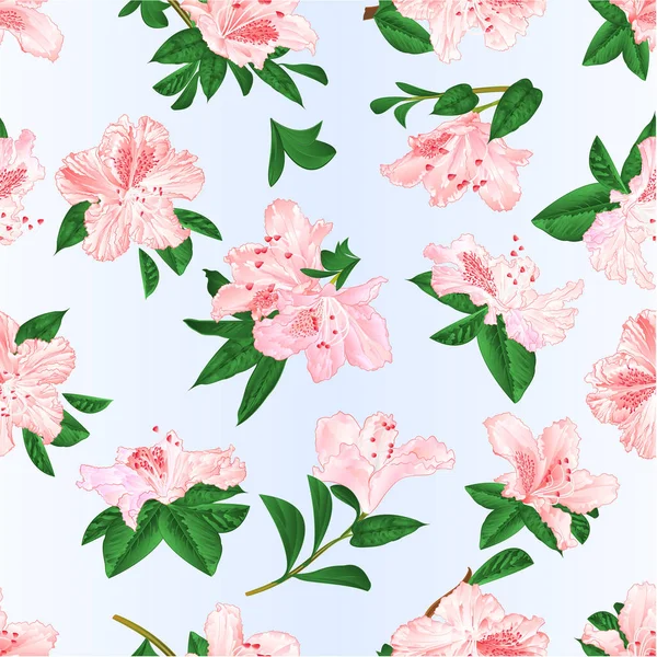 Bezešvá Textura Lehké Růžové Květiny Rododendrony Zanechává Keř Modrém Pozadí — Stockový vektor