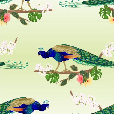 Ficus ve hibiscus ve philodendron suluboya vintage vektör illüstrasyon editable el çizilmiş ile dal üzerinde Dikişsiz doku Tavustropikal kuş  