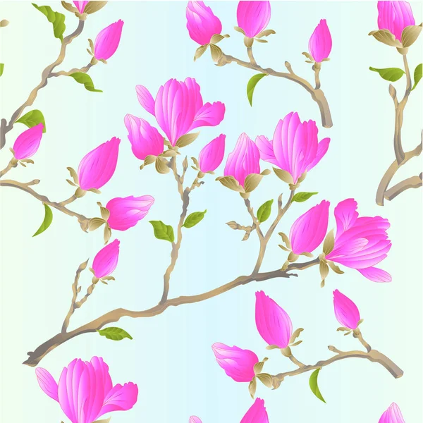 Seamless Texture Stem Chinese Magnolia Blooming Pink Flowers Buds Leaves — Stock Vector