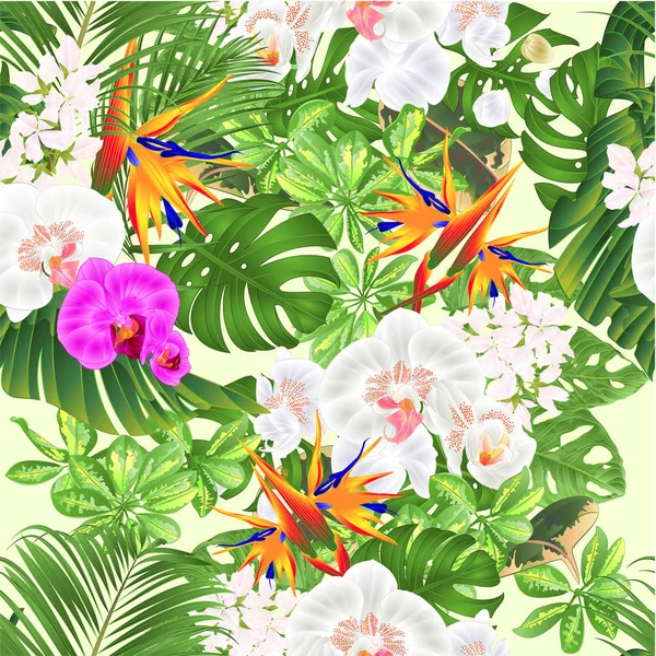 Seamless texture tropical flowers bouquet with    Strelitzia reginae white and purple  orchid Phalaenopsis palm monstera leaf banana  vintage vector illustration edizable hand draw