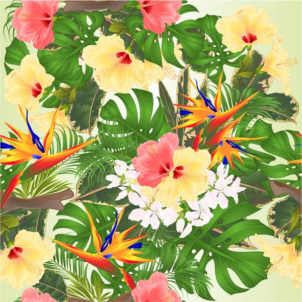 Seamless Texture Tropical Background Bouquet Tropical Flowers Strelitzia Pink Yellow — Stock Vector
