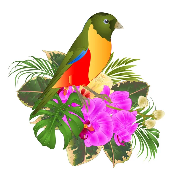 Pequeño Pájaro Tropical Con Flores Tropicales Arreglo Floral Con Hermosa — Vector de stock