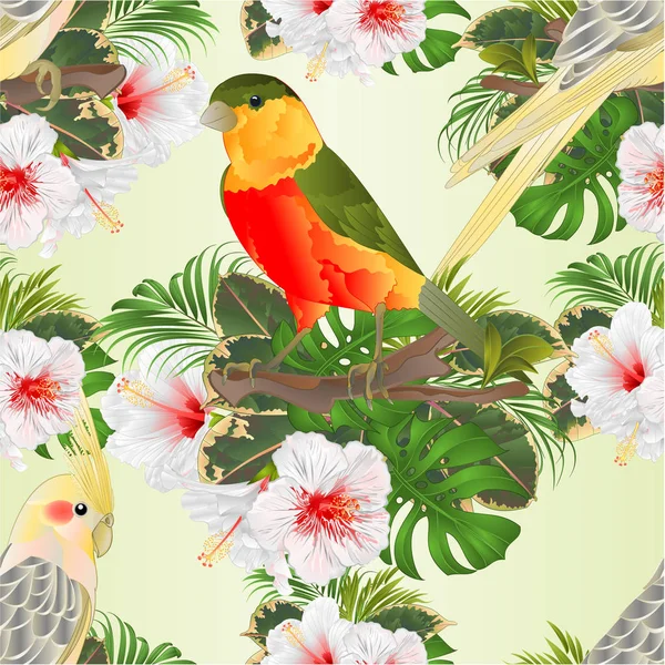 Bezszwowa Tekstura Żółte Nimfy Śliczne Tropikalne Ptaki Śmieszne Papugi Tropikalny — Wektor stockowy