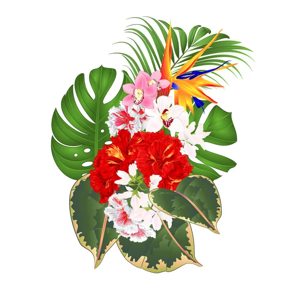 Csokor Trópusi Virágok Virágos Elrendezése Gyönyörű Strelitzia Fehér Piros Hibiszkusz — Stock Vector