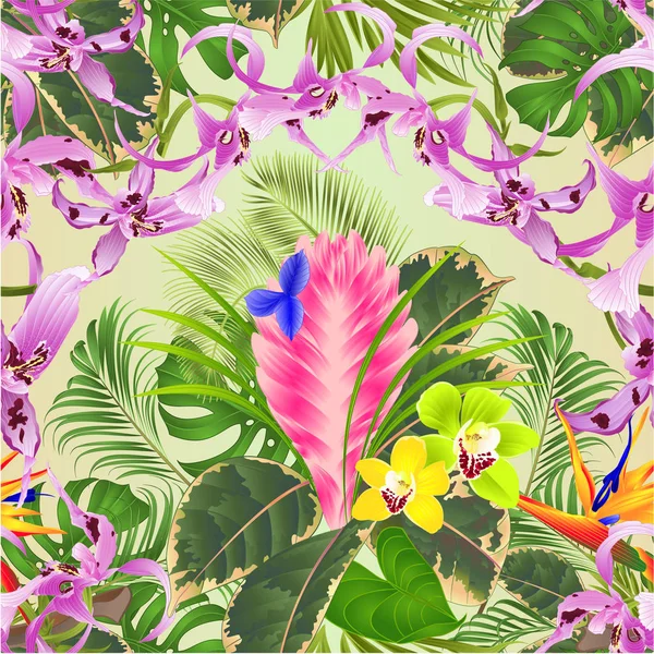 Texture Transparente Fleurs Tropicales Arrangement Floral Avec Belles Orchidées Dendrobium — Image vectorielle