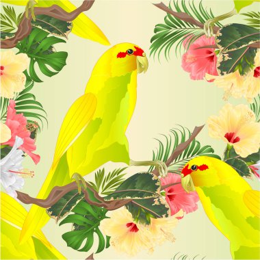Dikişsiz doku Kuş Hint Ringneck Parrot Sarı tropik çiçekler ebegümeci, palmiye, philodendron suluboya vintage vektör illüstrasyon editable El çizmek ile dal