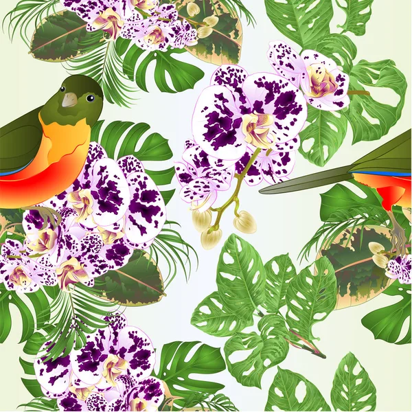 Bezešvá Textura Tropický Pták Květinami Spatřen Falaenopsis Květinové Uspořádání Krásnou — Stockový vektor