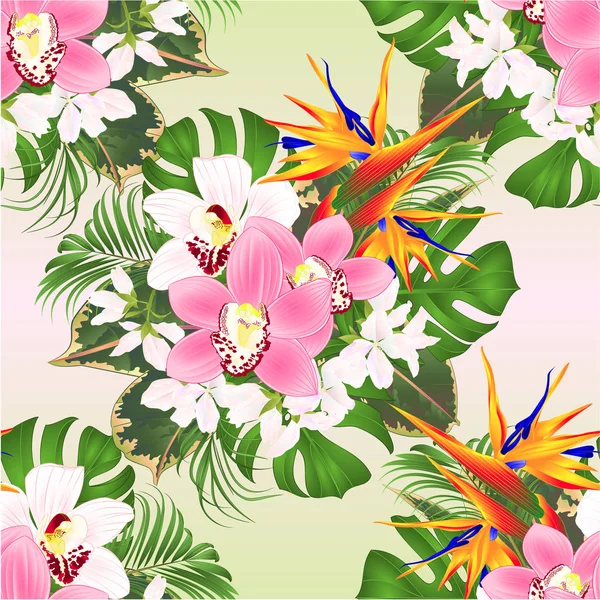 Цветочная Композиция Тропических Цветов Красивой Стрелицей Белыми Розовыми Орхидеями Цимбидиевая — стоковый вектор